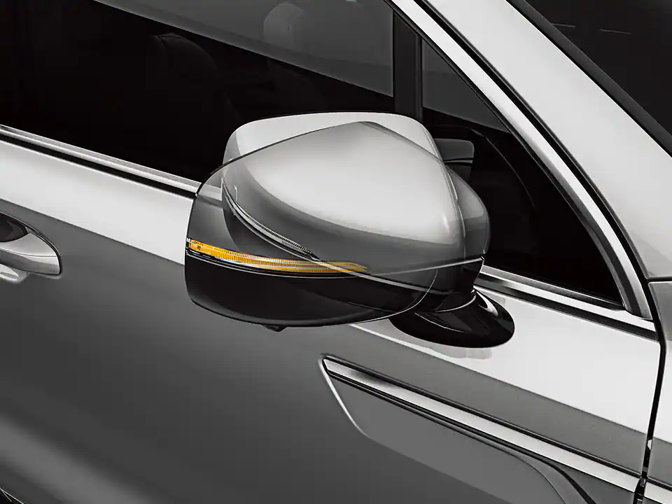 Outside mirror & repeater